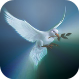 Espíritu Santo icon