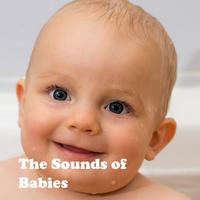 The Sounds of Babies Plakat