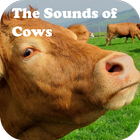 The Sounds of Cows icône