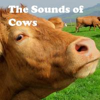 The Sounds of Cows capture d'écran 3