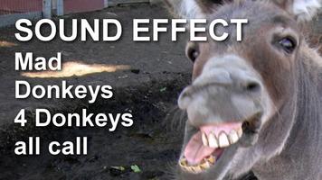 Donkey Sounds Effects ポスター