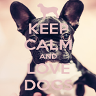 Keep Calm Love Dogs Wallpapers 图标