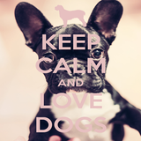 Keep Calm Love Dogs Wallpapers ikon