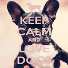 Keep Calm Love Dogs Wallpapers আইকন