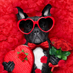 Love Quotes Backgrounds
