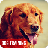 Dog Training Tips icône