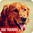 Dog Training Tips 아이콘