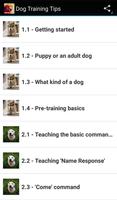 Dog Training Tips Affiche