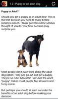 Dog Training Tips ảnh chụp màn hình 1