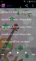 SUZUKI VIOLA screenshot 2