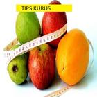 19 Tips Kurus 아이콘