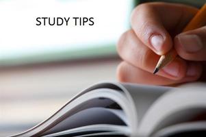 Study Tips Cartaz