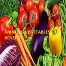 Amazing Vegetables Benefits APK
