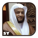 Quran Recited by Hani Ar Rifai APK