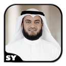 Quran Recitation by Alafasy APK