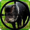 Wild Boar Calls Soundboard