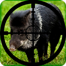 Wild Boar Calls Soundboard APK