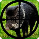 APK Wild Boar Hunting Calls