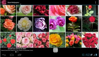 Rose Wallpapers ảnh chụp màn hình 1