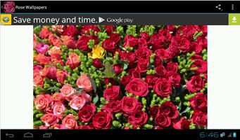 Rose Wallpapers ảnh chụp màn hình 2