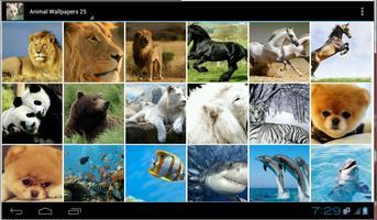 Animal Wallpapers 25 plakat
