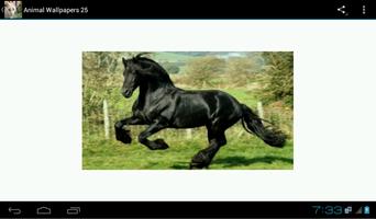 Animal Wallpapers 25 screenshot 2