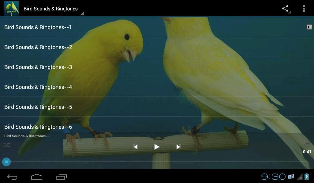 Canary Bird перевод. Bird Sounds and Ringtones. Bird Sound.