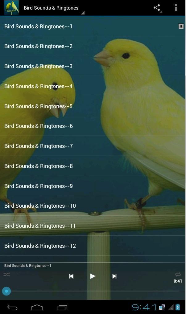 Bird Sounds and Ringtones. Как сделать звук птицы. Птицы канарейки вельвет текст. Рингтон bird