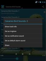 Canaries Bird Sounds capture d'écran 1