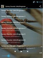Canary Bird Calls & Ringtones Affiche