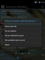 Canary Bird Calls & Ringtones capture d'écran 2