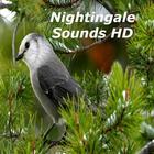 Nightingale Bird Sounds HD icône