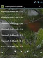 Nightingale Bird Sounds HD Affiche