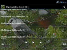 Nightingale Bird Sounds HD capture d'écran 1