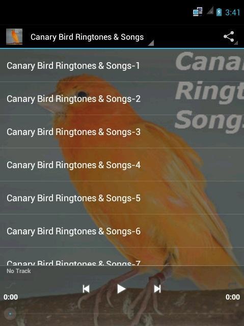 Рингтон песни какая есть. Канарейка песня. Canary Bird перевод. Bird loop рингтон. Канарейка песня текст.
