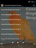 Canary Bird Ringtones & Songs 포스터