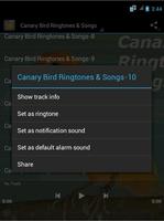 Canary Bird Ringtones & Songs capture d'écran 1