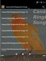 Canary Bird Ringtones & Songs ภาพหน้าจอ 2