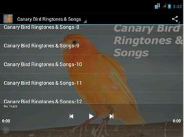 Canary Bird Ringtones & Songs स्क्रीनशॉट 3