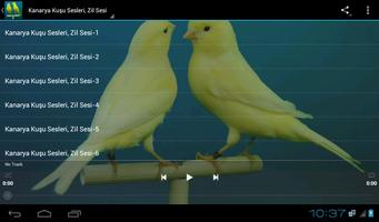3 Schermata Kanarya Kuşu Sesleri, Zil Sesi