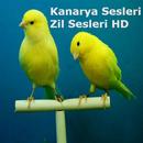 Kanarya Sesleri, Zil Sesler HD APK