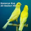 ”Kanarya Kuş Zil Sesleri HD