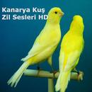 Kanarya Kuş Zil Sesleri HD APK