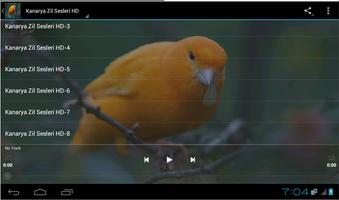 Kanarya Zil Sesleri HD capture d'écran 3