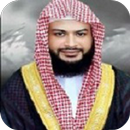 APK Hatem Farid Quran Audio