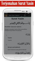 Surat Yasin MP3 captura de pantalla 3