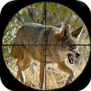 Coyote Hunting Calls APK