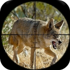 狼狩猎通话 图标