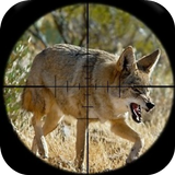 Coyote Hunting Gesprekken-APK