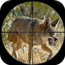 Convida caça Coyote APK